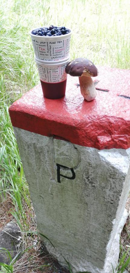 Dame Vam Pokoj - 4 Pokoje Se Sdilenou Kuchyni, Kapacita Max 9 Osob Harrachov Exterior foto